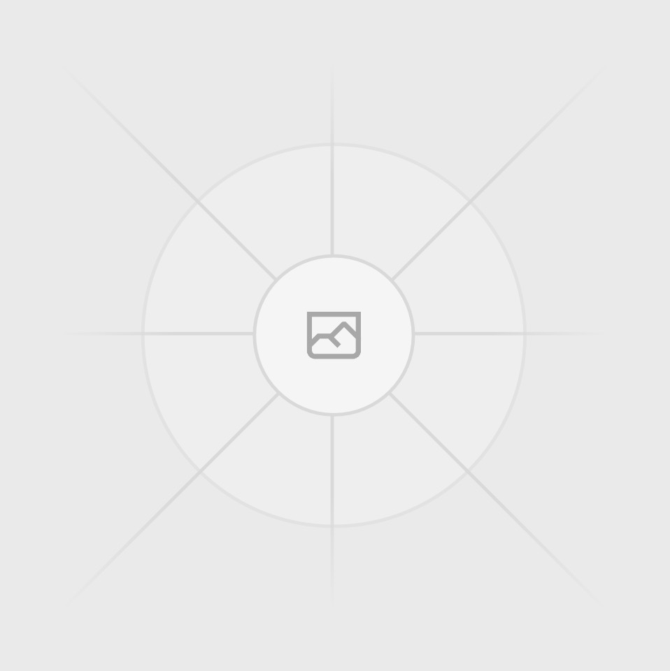 Get Professional Results